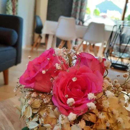 Kaminblick Europapark In Ca 15 Min Erreichbar Hecklingen (Emmendingen)