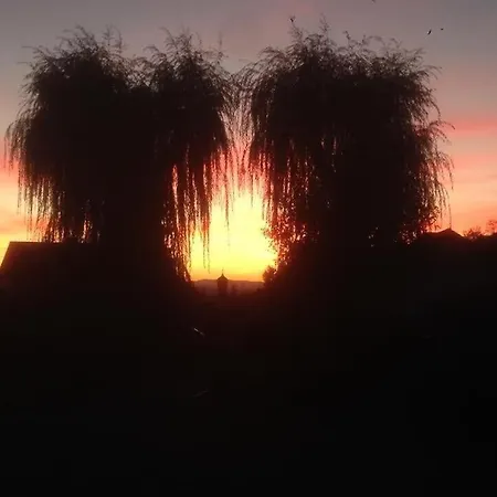 Kaminblick Europapark In Ca 15 Min Erreichbar Apartment *