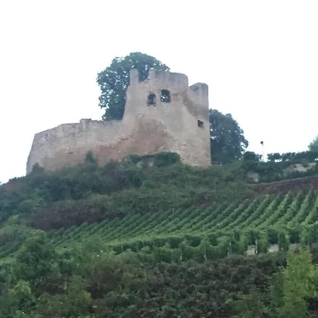 Kaminblick Europapark In Ca 15 Min Erreichbar