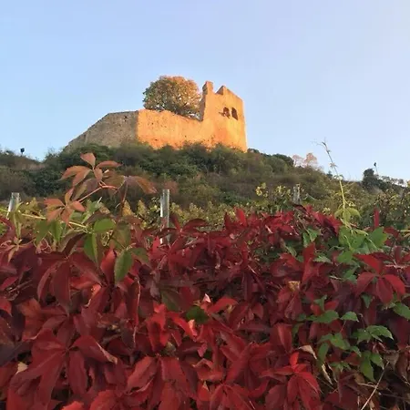 Kaminblick Europapark In Ca 15 Min Erreichbar
