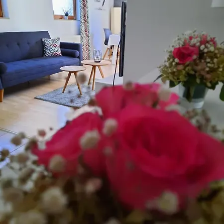 Apartment Kaminblick Europapark In Ca 15 Min Erreichbar