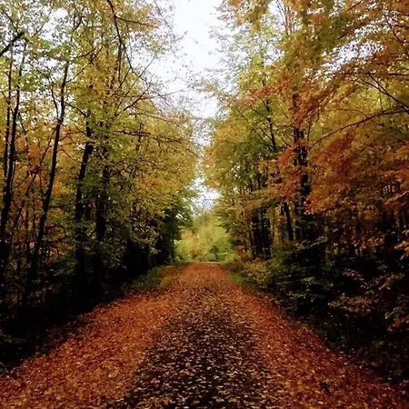 Apartment Kaminblick Europapark In Ca 15 Min Erreichbar *