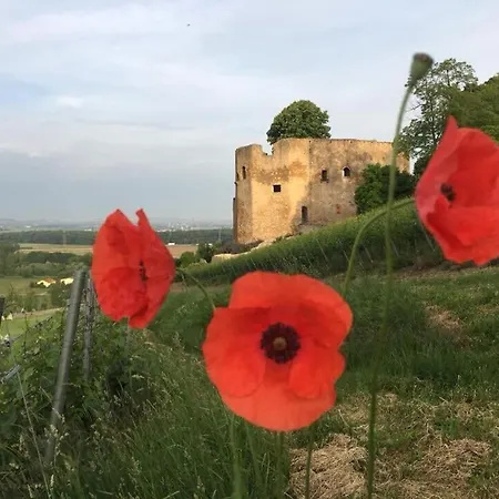 Apartment Kaminblick Europapark In Ca 15 Min Erreichbar