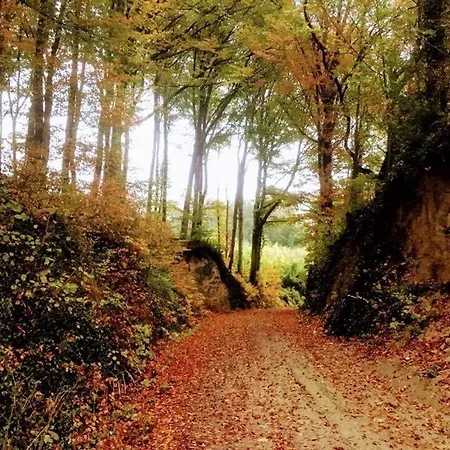 Kaminblick Europapark In Ca 15 Min Erreichbar *