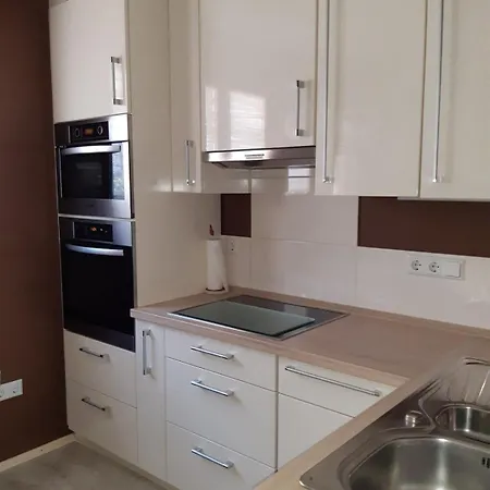 Apartment Kaminblick Europapark In Ca 15 Min Erreichbar *