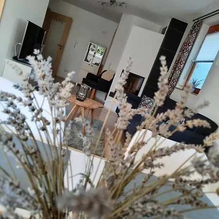 Kaminblick Europapark In Ca 15 Min Erreichbar Apartment Hecklingen (Emmendingen)