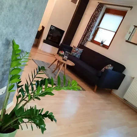 Kaminblick Europapark In Ca 15 Min Erreichbar Apartment Hecklingen (Emmendingen)